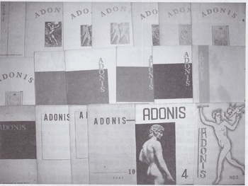 ADONIS(2).jpg