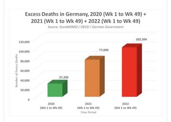 ドイツの超過死亡.jpg