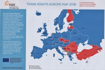 TRANSGENDER EUROPE2018-1 (1) - コピー.jpg