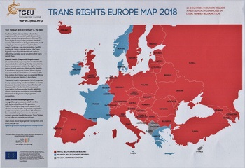 TRANSGENDER EUROPE2018-2 - コピー.jpg